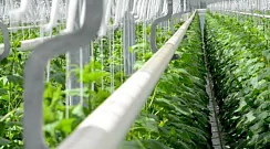 CO2 Supplementation Systems For Plants